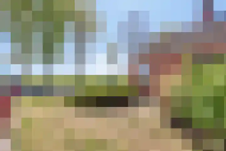 Zuiderdiep 255 2e Exloërmond thumbnail 24