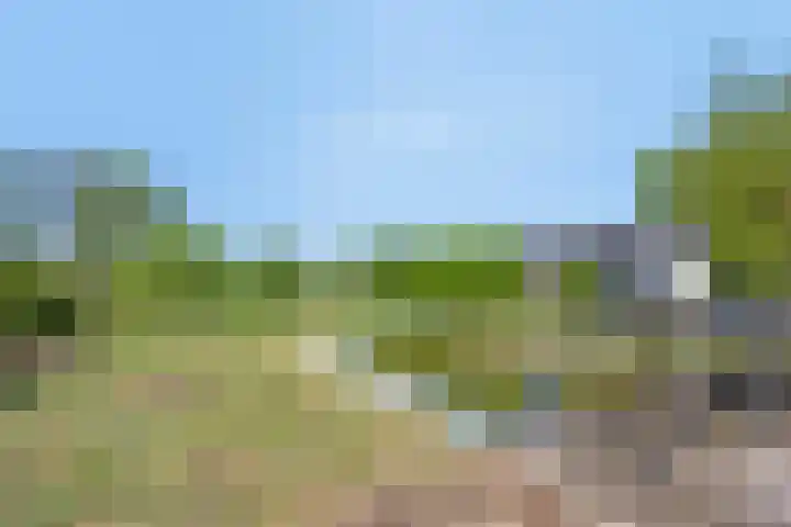 Zuiderdiep 255 2e Exloërmond thumbnail 26