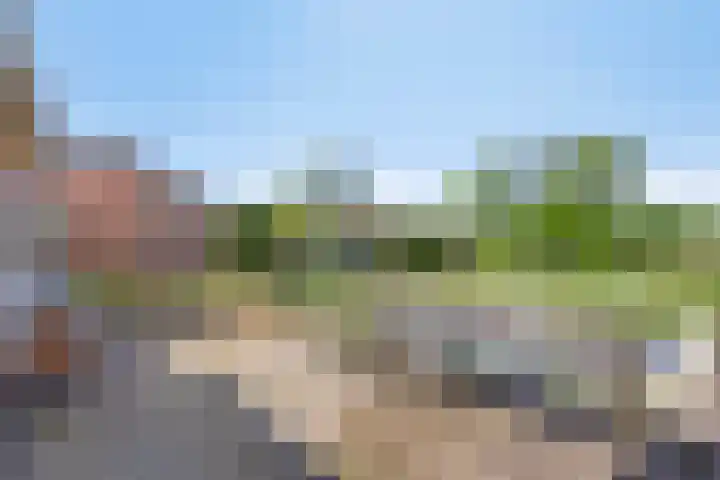 Zuiderdiep 255 2e Exloërmond thumbnail 27