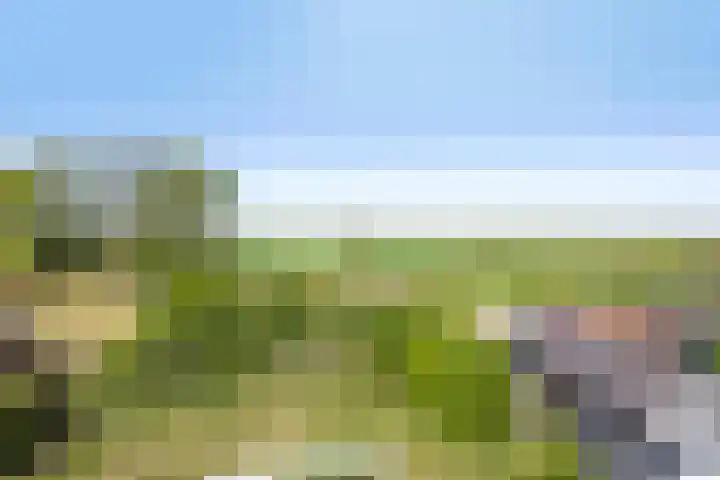 Zuiderdiep 255 2e Exloërmond thumbnail 29