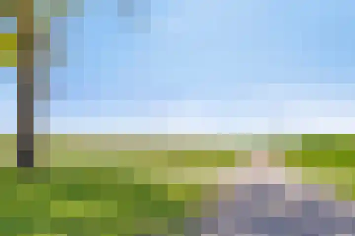 Zuiderdiep 255 2e Exloërmond thumbnail 30