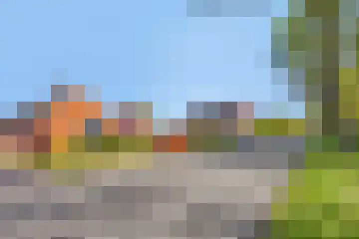 Zuiderdiep 255 2e Exloërmond thumbnail 32