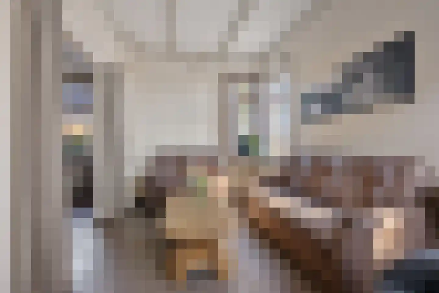 Zuiderdiep 270 Valthermond thumbnail 16