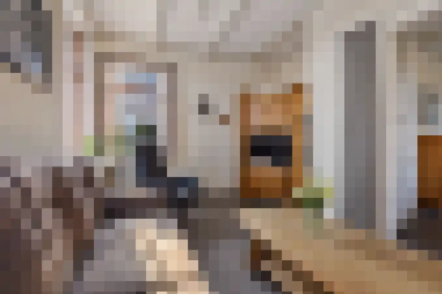 Zuiderdiep 270 Valthermond thumbnail 17