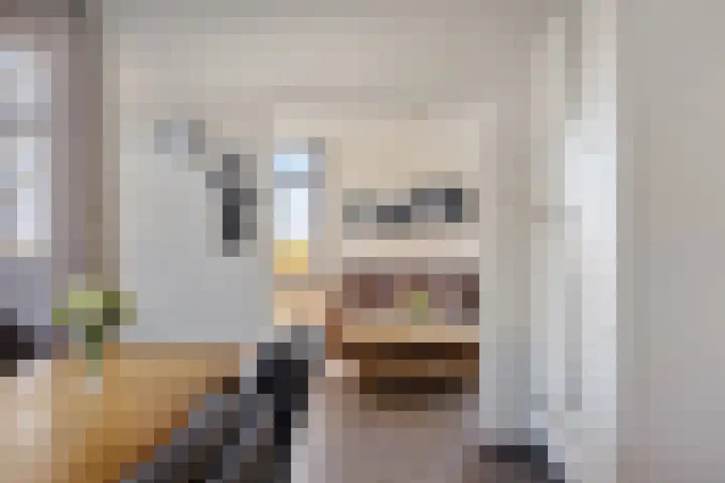 Zuiderdiep 270 Valthermond thumbnail 19