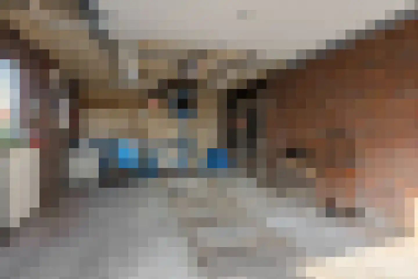 Zuiderdiep 270 Valthermond thumbnail 32