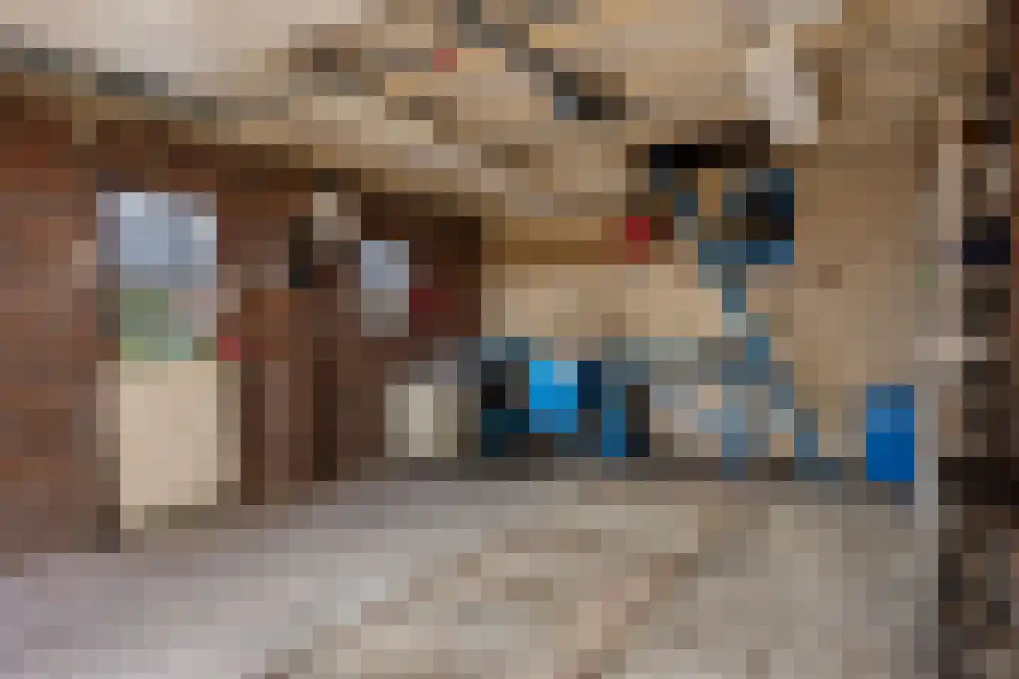 Zuiderdiep 270 Valthermond thumbnail 36