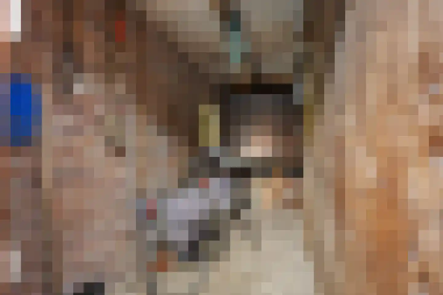 Zuiderdiep 270 Valthermond thumbnail 37