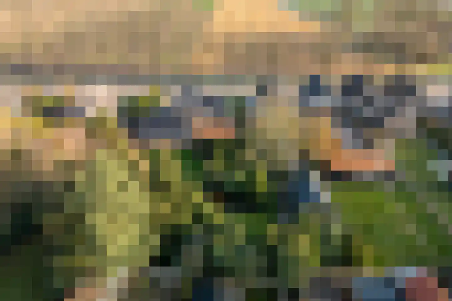 Zuiderdiep 270 Valthermond thumbnail 44