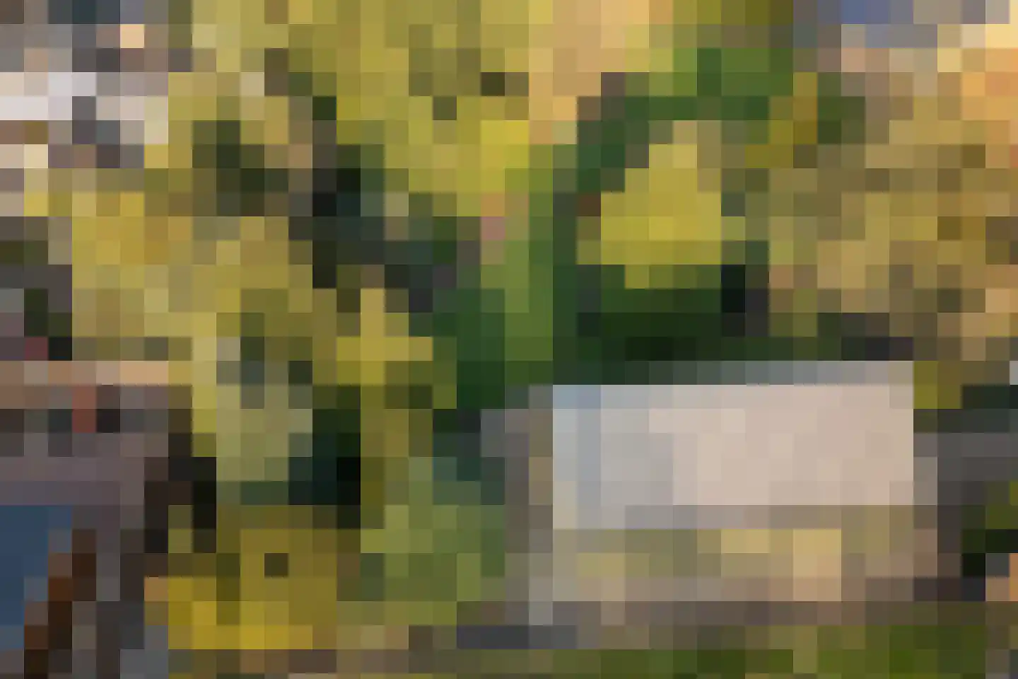 Zuiderdiep 270 Valthermond thumbnail 45