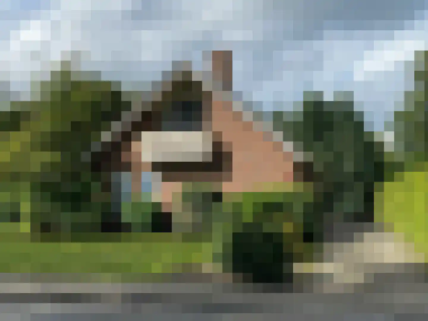 Zuiderdiep 273 in Valthermond