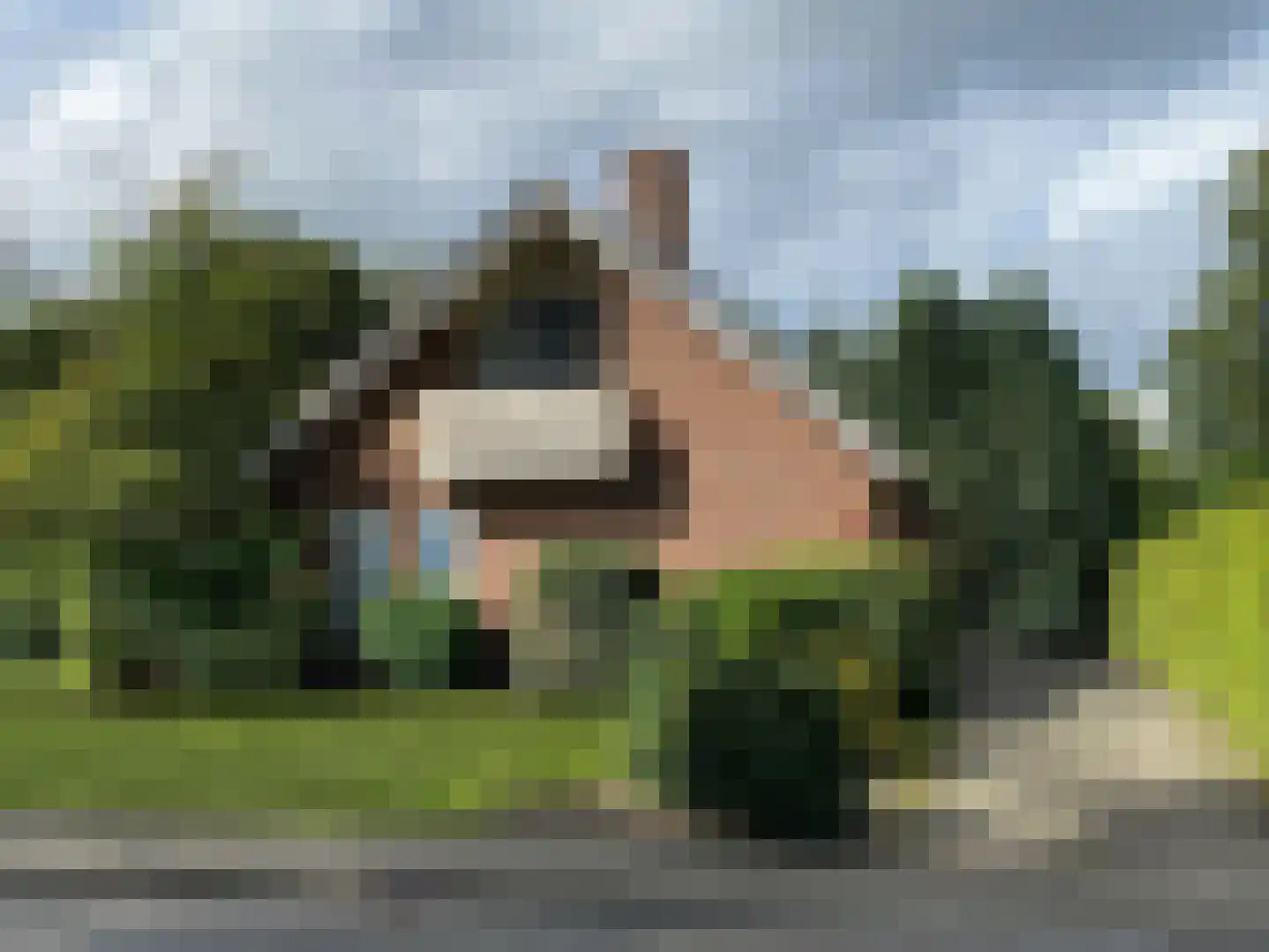 Zuiderdiep 273 in Valthermond