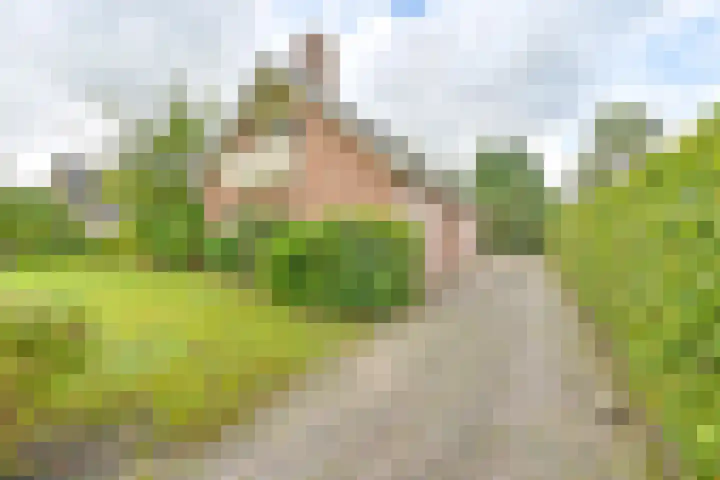 Zuiderdiep 273 Valthermond thumbnail 13
