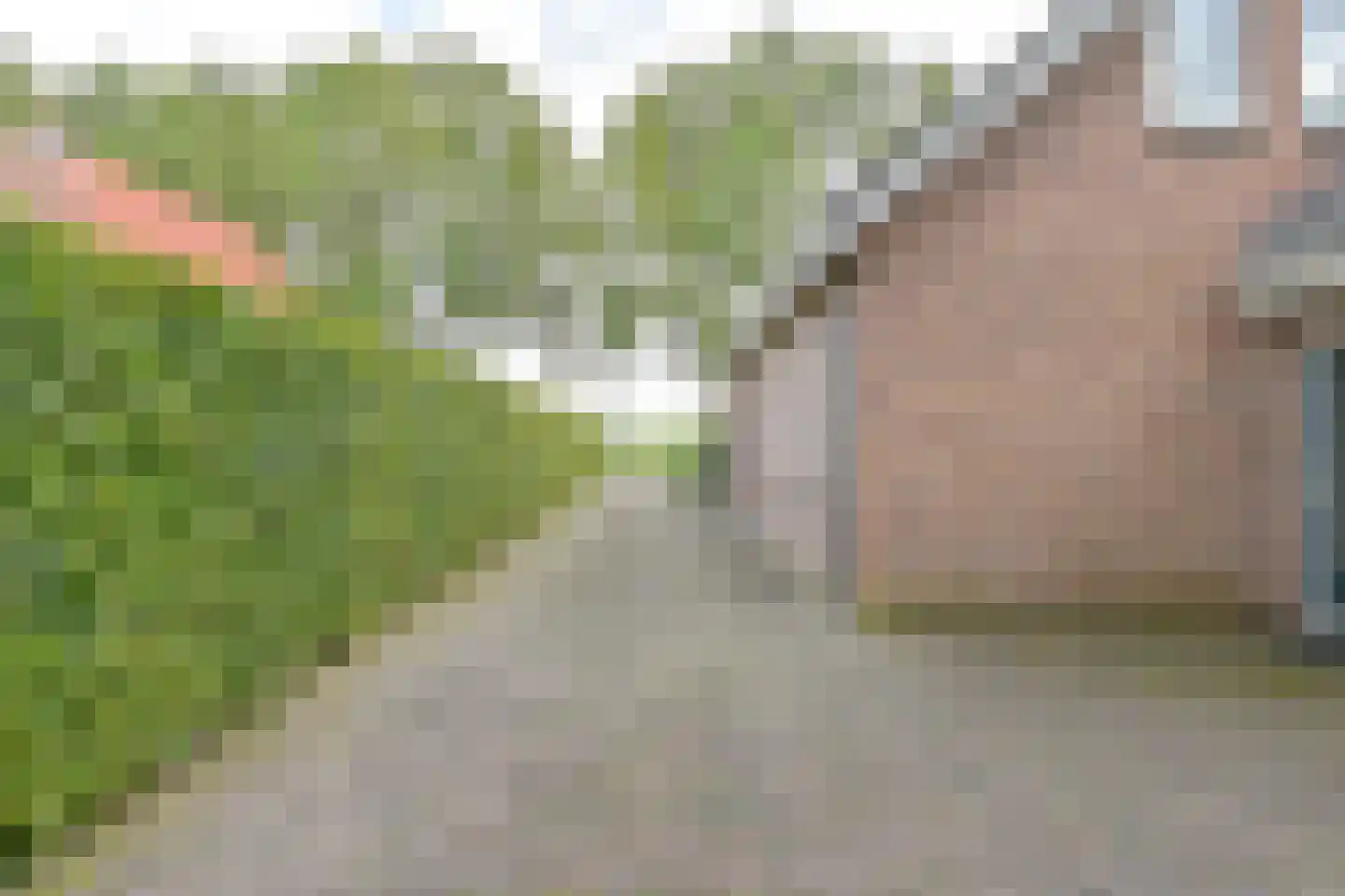 Zuiderdiep 273 Valthermond thumbnail 17