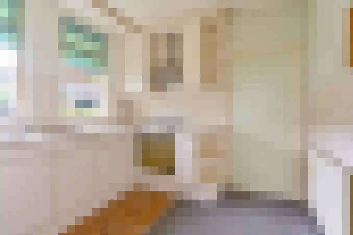 Zuiderdiep 273 Valthermond thumbnail 32
