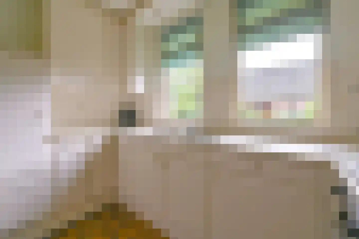 Zuiderdiep 273 Valthermond thumbnail 34