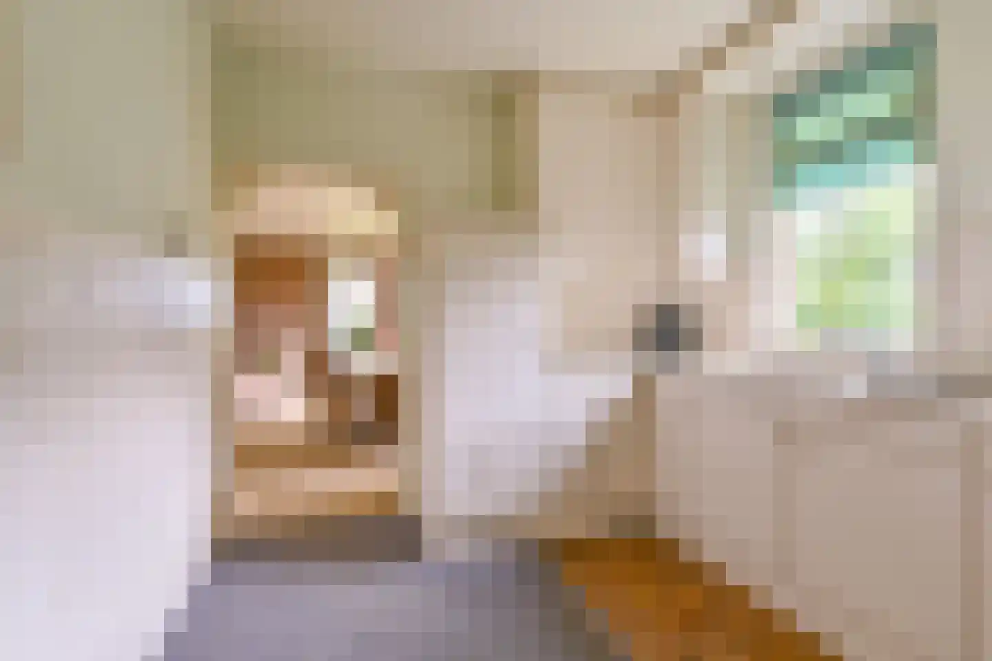 Zuiderdiep 273 Valthermond thumbnail 36