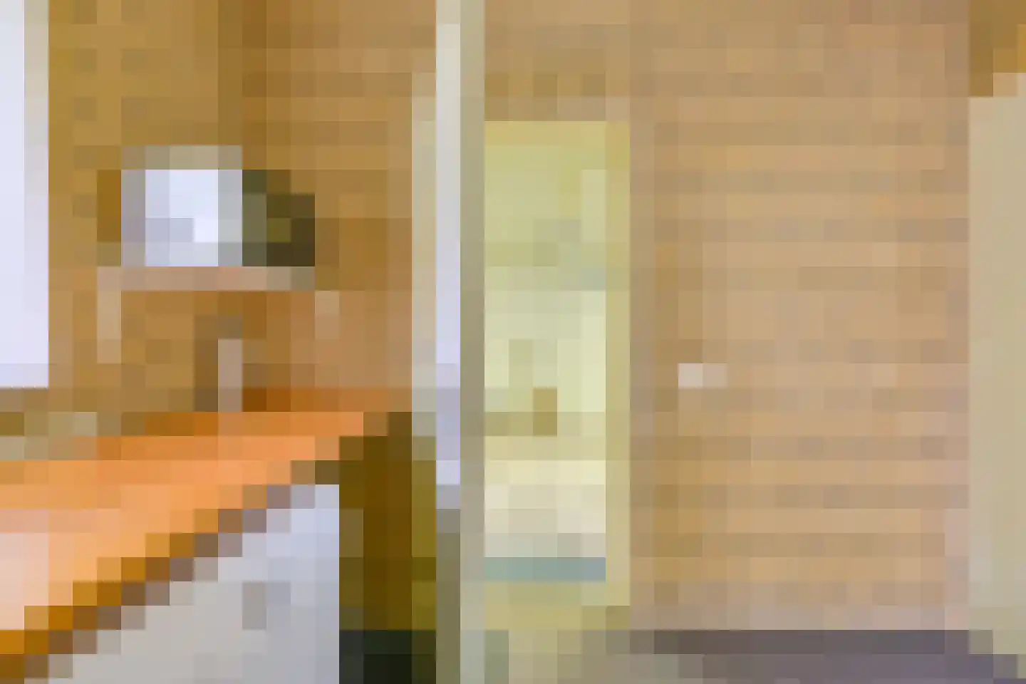 Zuiderdiep 273 Valthermond thumbnail 42