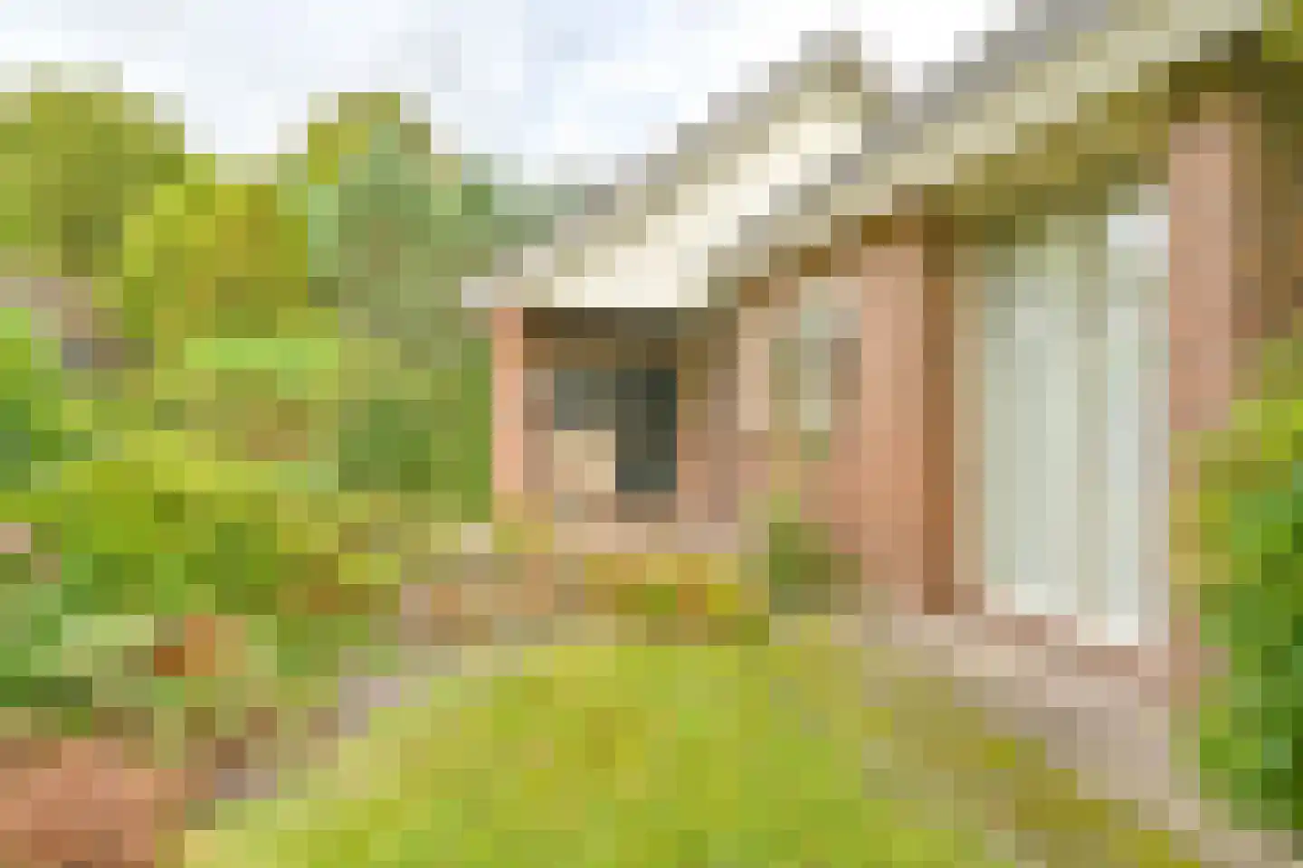 Zuiderdiep 273 Valthermond thumbnail 7
