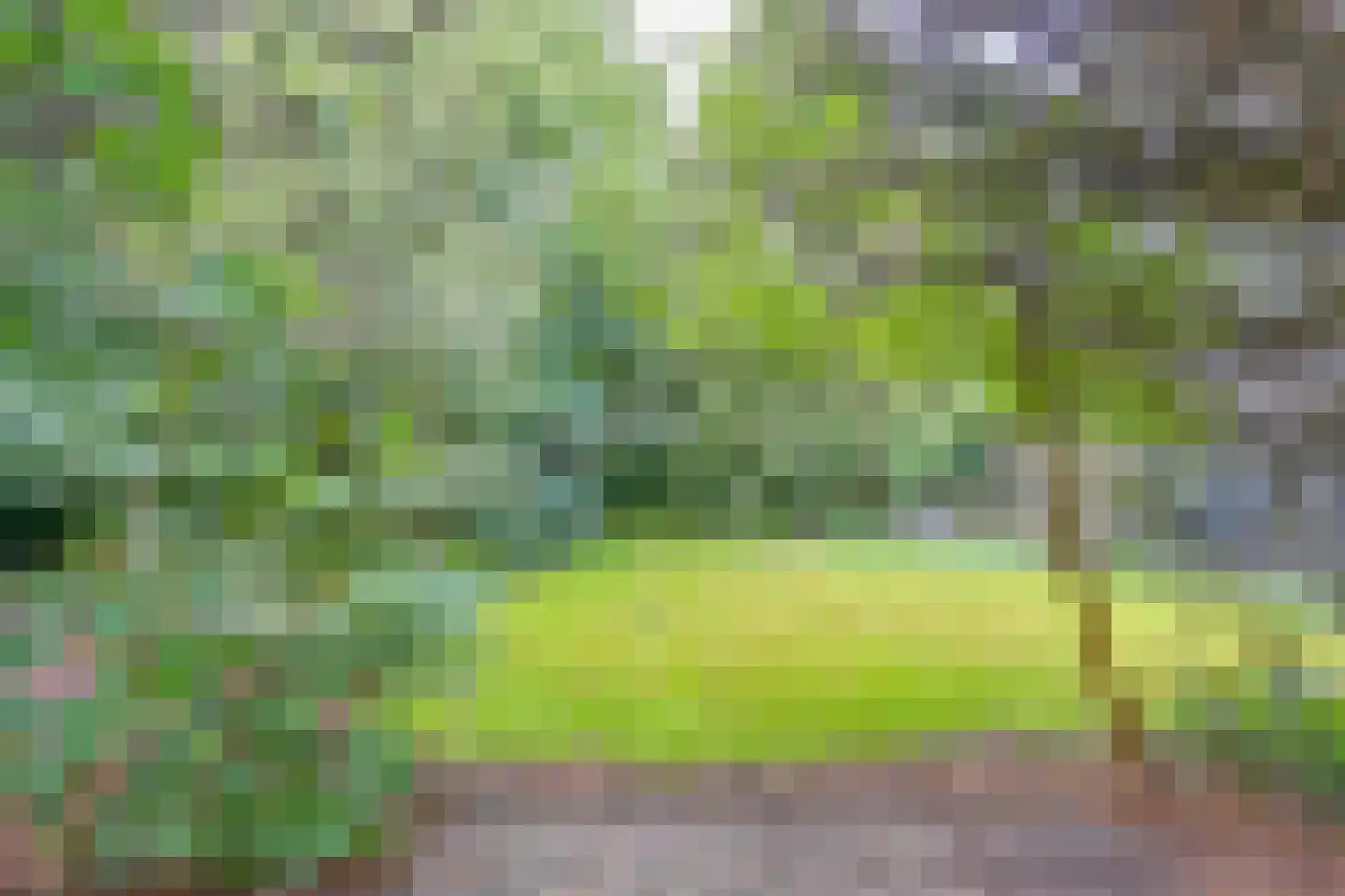 Zuiderdiep 273 Valthermond thumbnail 70