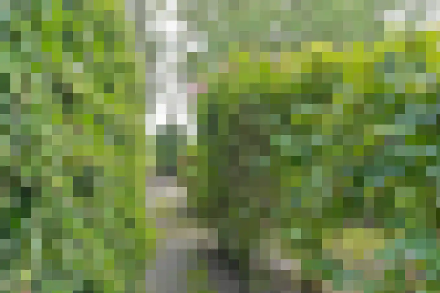 Zuiderdiep 273 Valthermond thumbnail 73