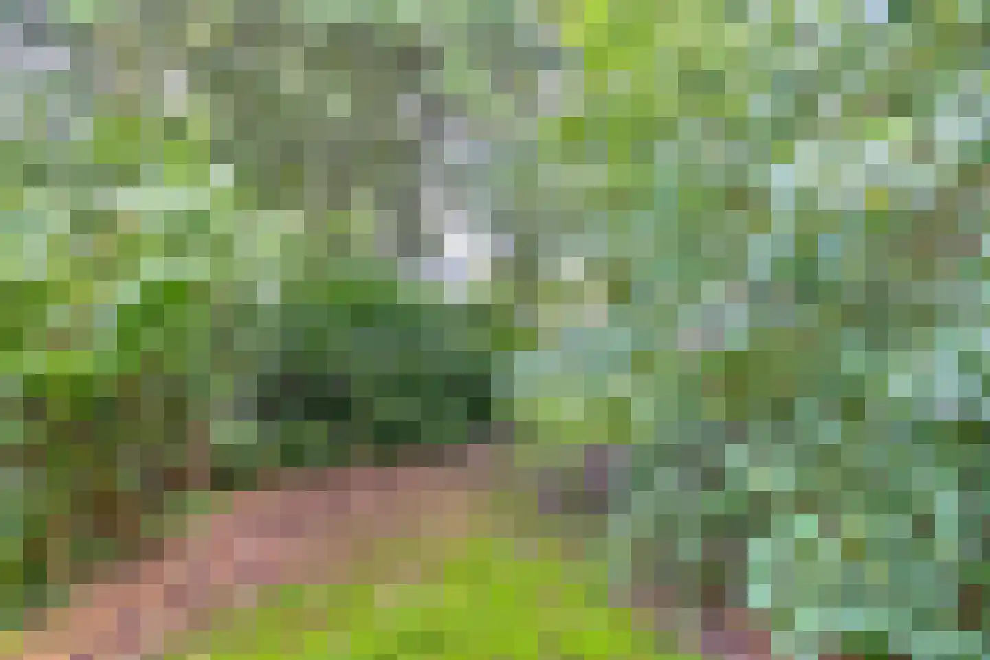 Zuiderdiep 273 Valthermond thumbnail 74