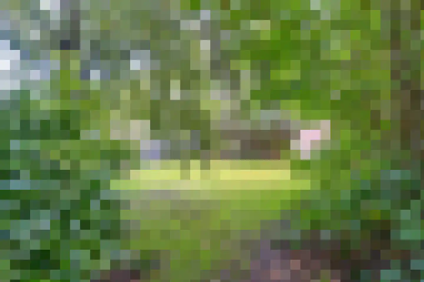 Zuiderdiep 273 Valthermond thumbnail 75