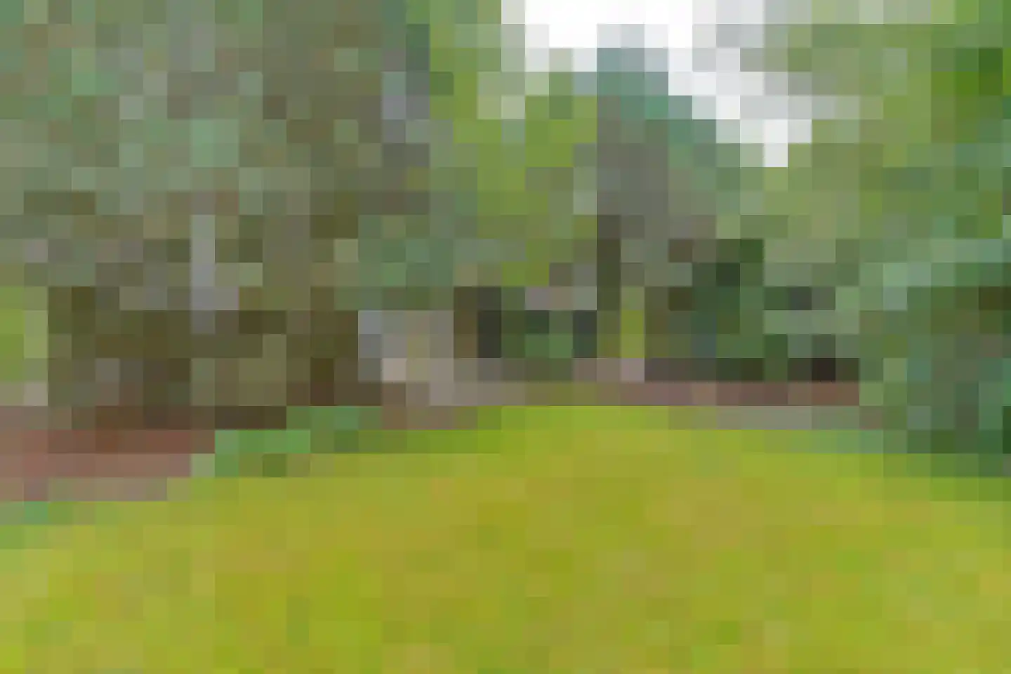 Zuiderdiep 273 Valthermond thumbnail 76