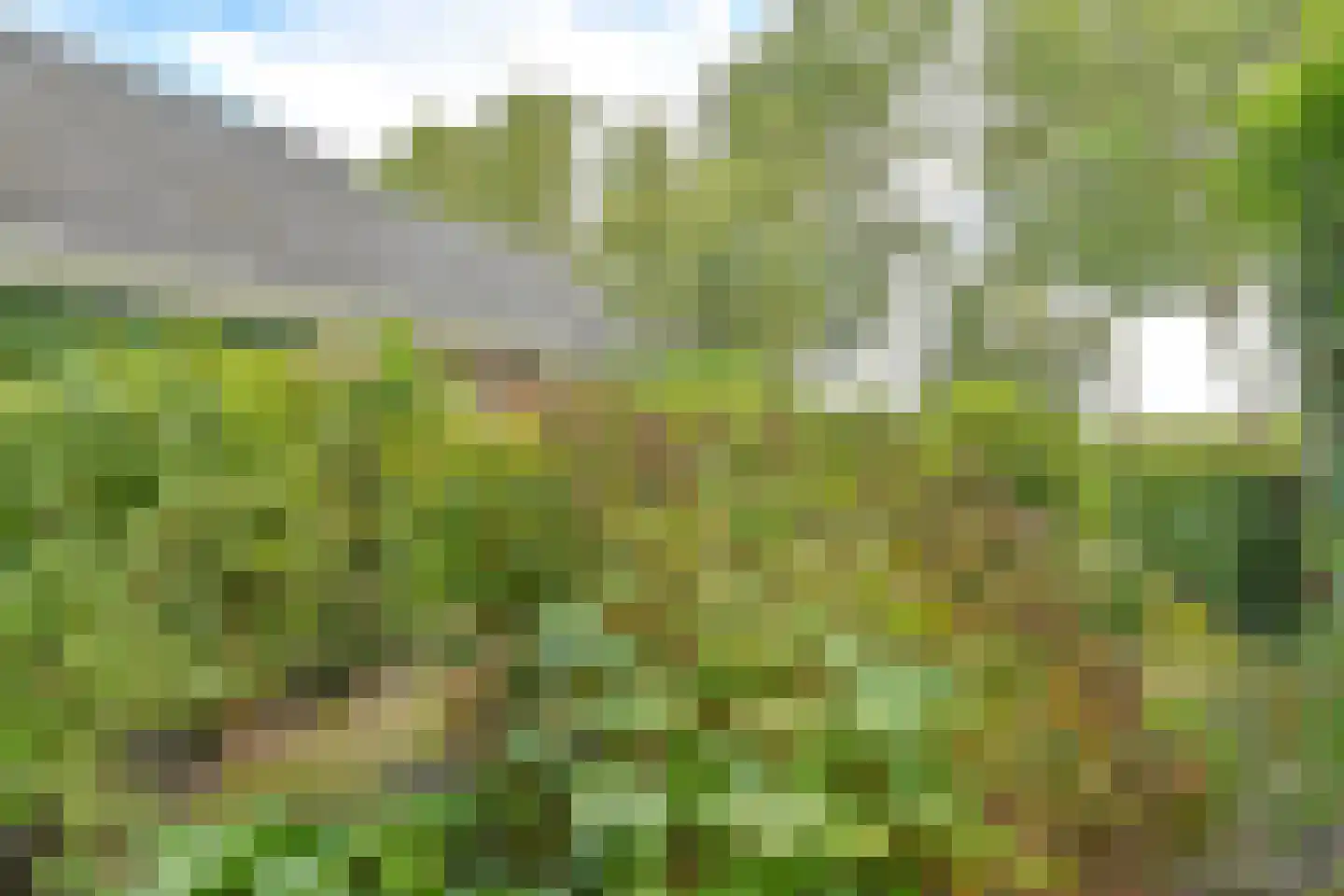 Zuiderdiep 273 Valthermond thumbnail 8