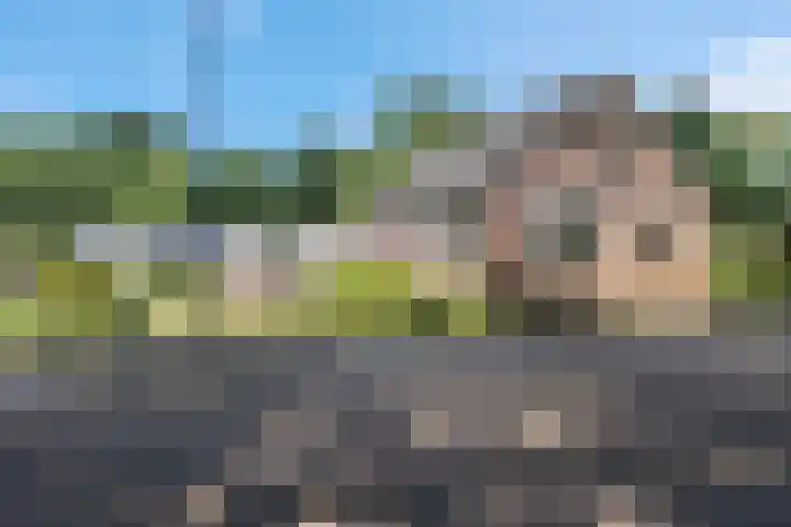 Zuiderdiep 283 Valthermond thumbnail 11