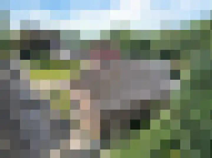 Zuiderdiep 283 Valthermond thumbnail 18