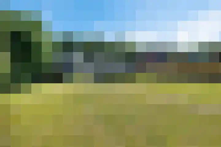 Zuiderdiep 283 Valthermond thumbnail 24