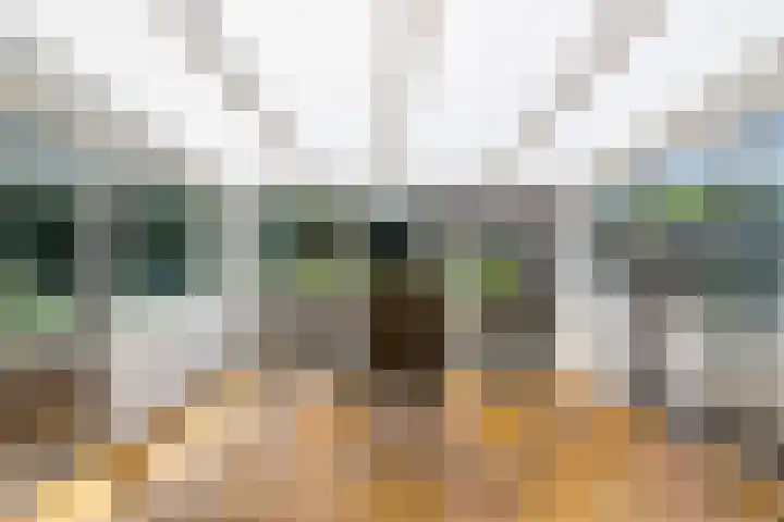 Zuiderdiep 283 Valthermond thumbnail 27