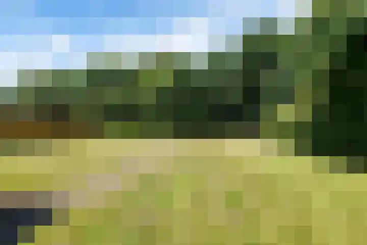 Zuiderdiep 283 Valthermond thumbnail 7