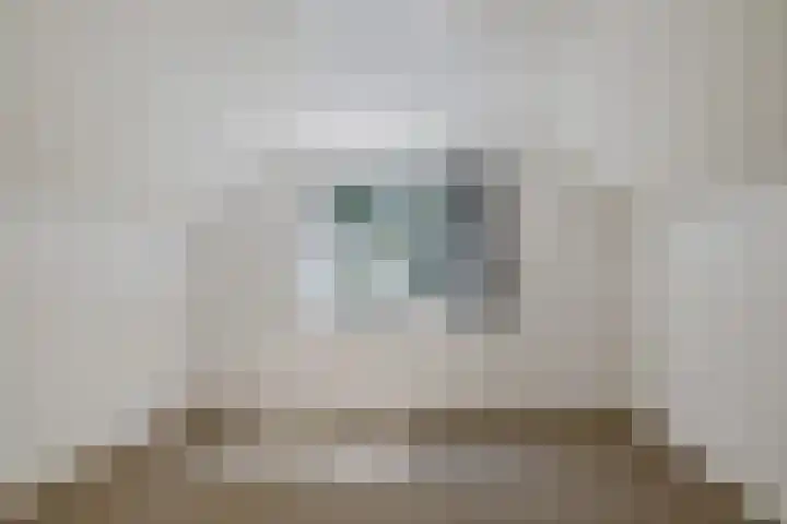 Zuiderdiep 283 Valthermond thumbnail 77
