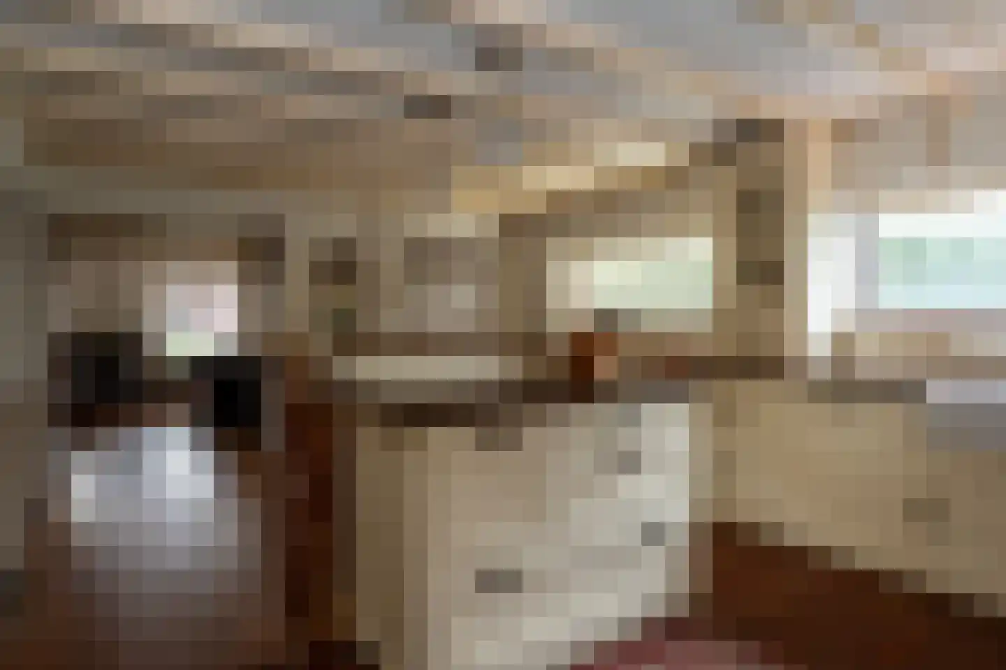 Zuiderdiep 287 Nieuw-Buinen thumbnail 11