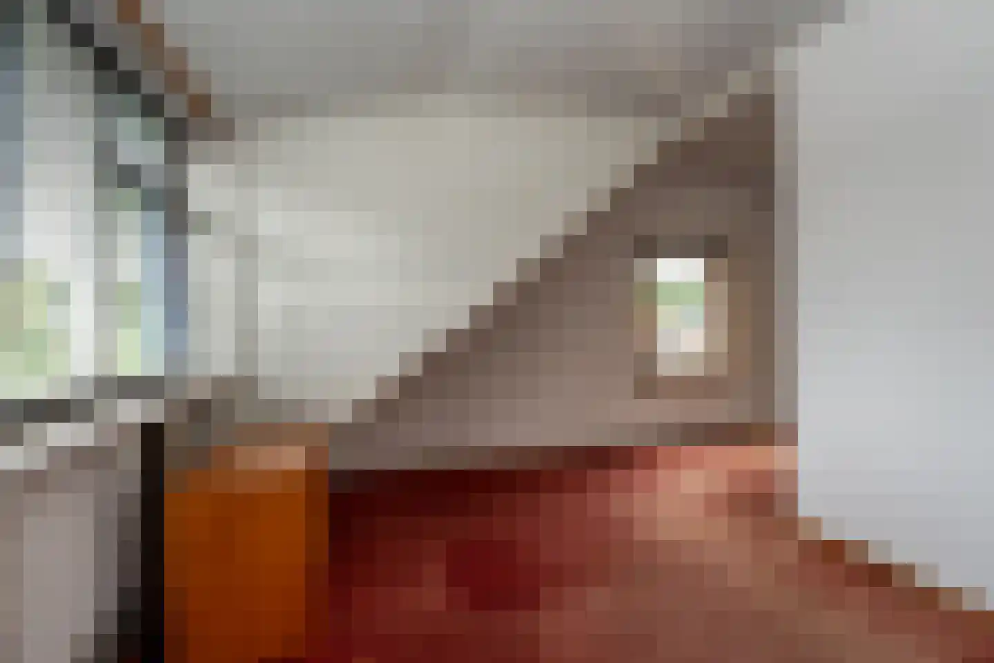 Zuiderdiep 287 Nieuw-Buinen thumbnail 20