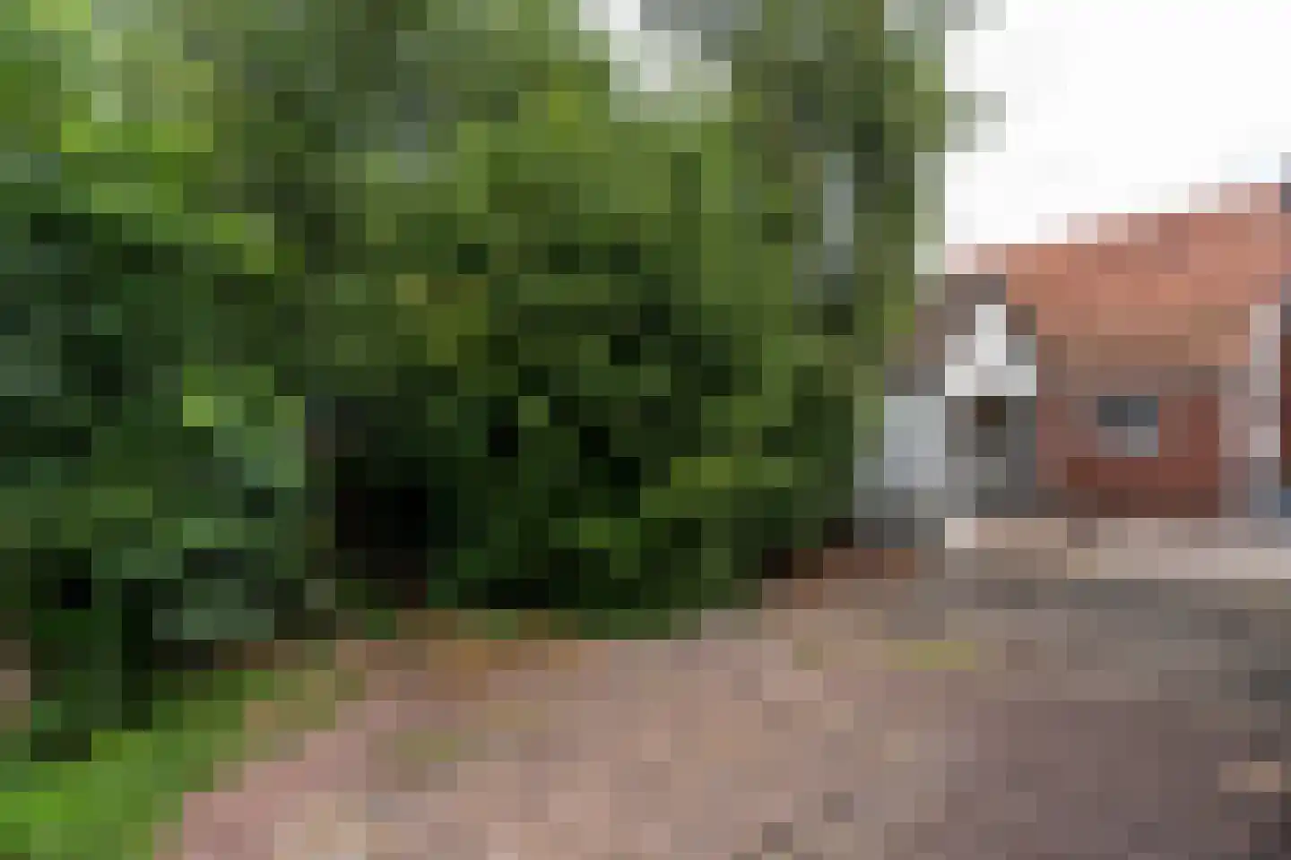 Zuiderdiep 287 Nieuw-Buinen thumbnail 26
