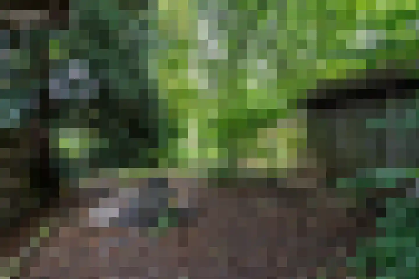 Zuiderdiep 287 Nieuw-Buinen thumbnail 27