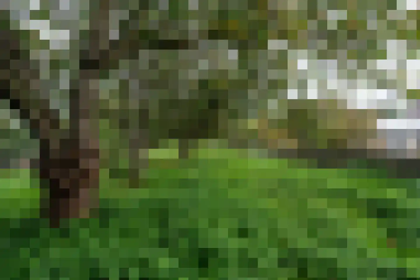 Zuiderdiep 287 Nieuw-Buinen thumbnail 28