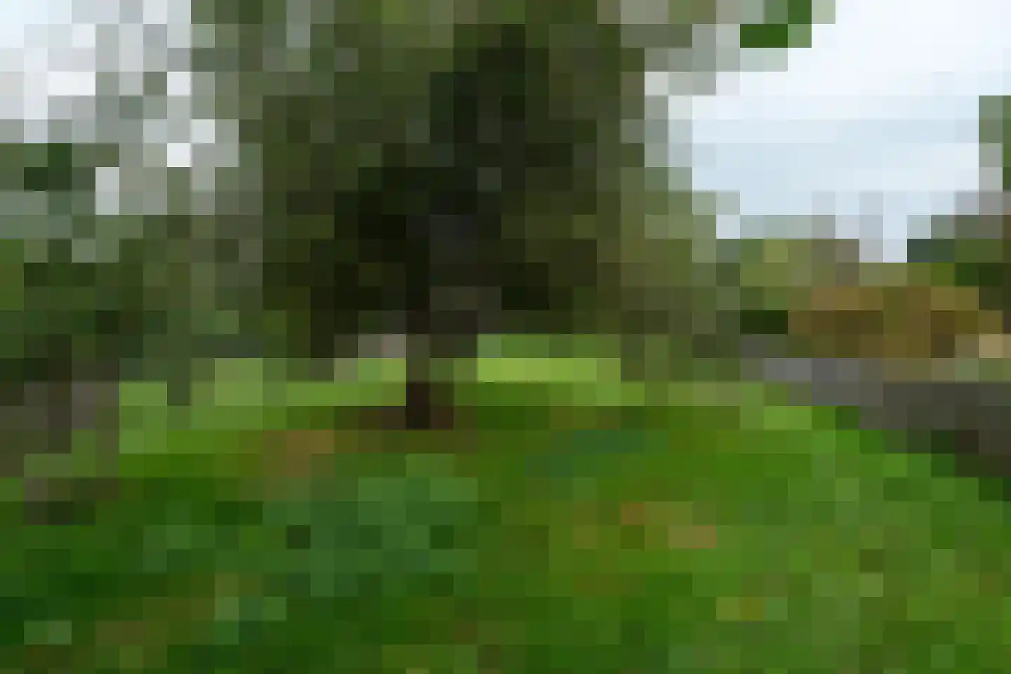 Zuiderdiep 287 Nieuw-Buinen thumbnail 29