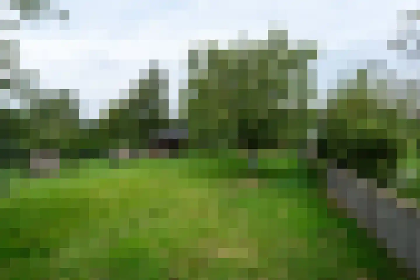 Zuiderdiep 287 Nieuw-Buinen thumbnail 30