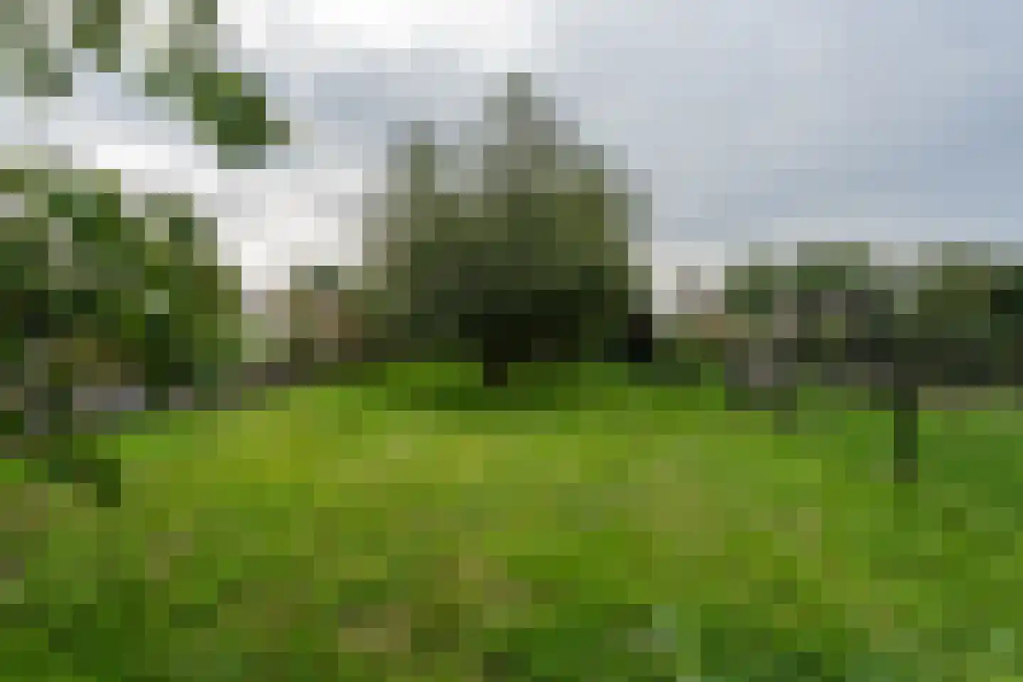 Zuiderdiep 287 Nieuw-Buinen thumbnail 31