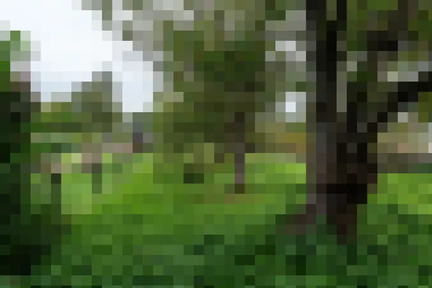 Zuiderdiep 287 Nieuw-Buinen thumbnail 32