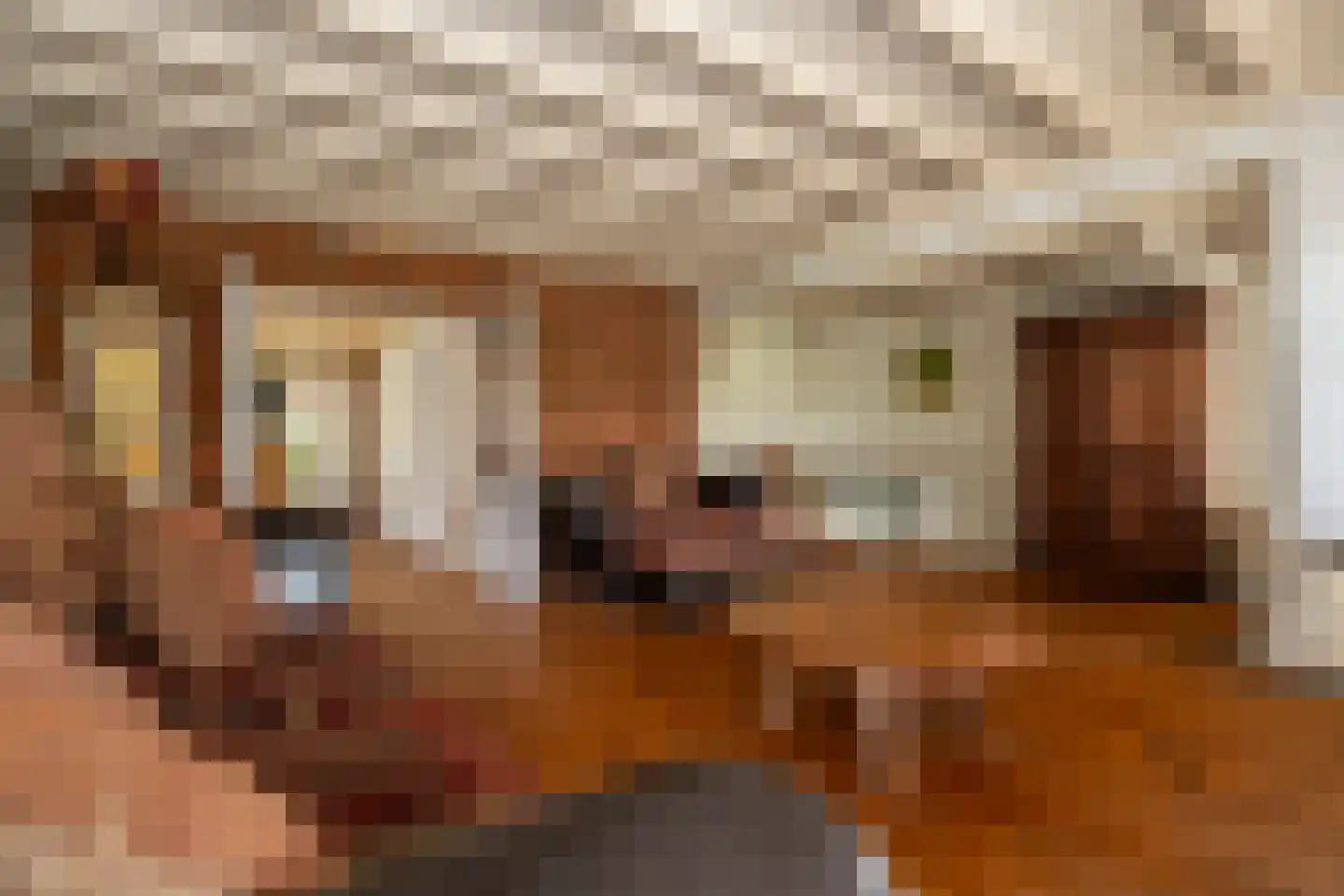 Zuiderdiep 287 Nieuw-Buinen thumbnail 7