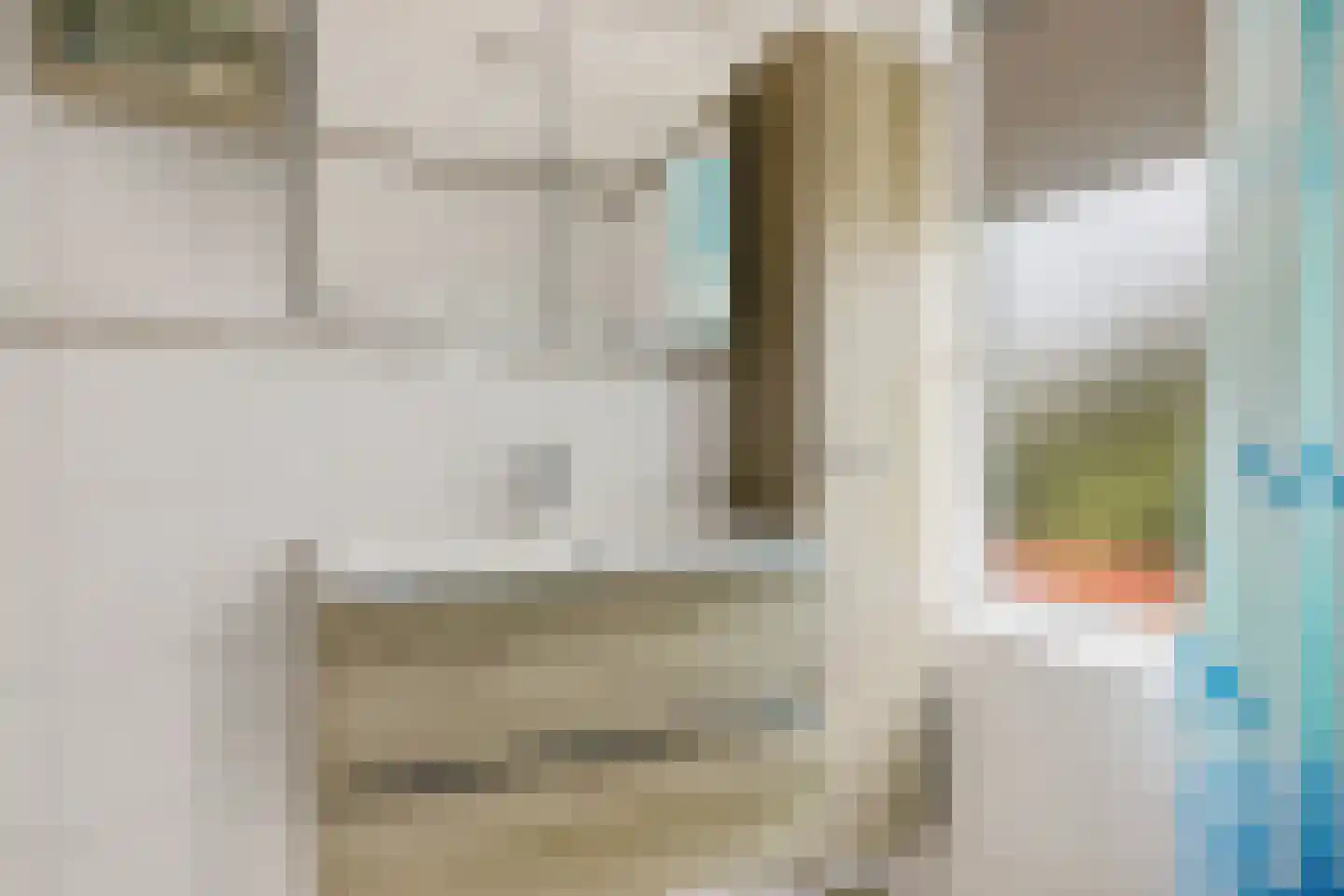 Zuiderdiep 288 2e Exloërmond thumbnail 19