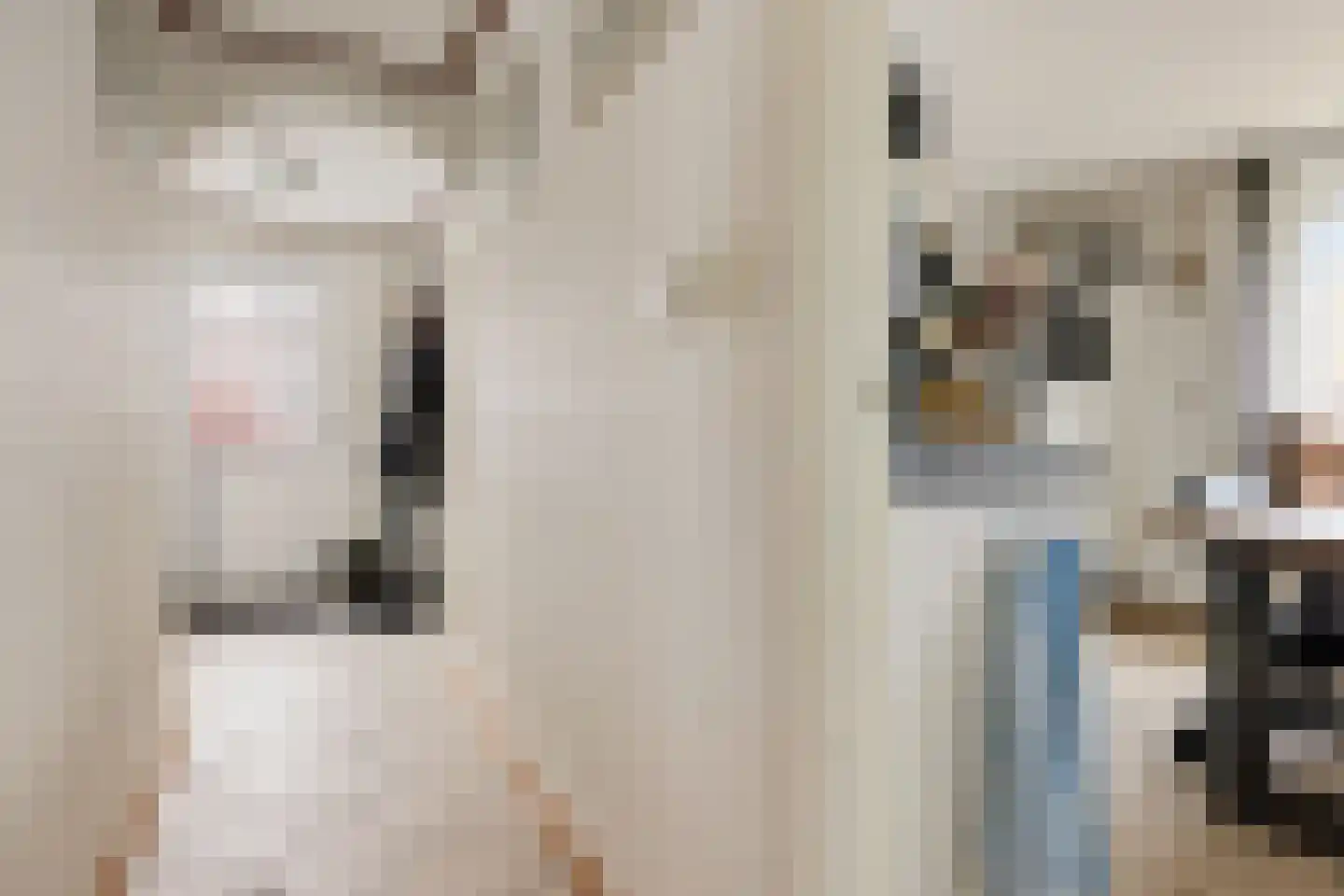 Zuiderdiep 288 2e Exloërmond thumbnail 27
