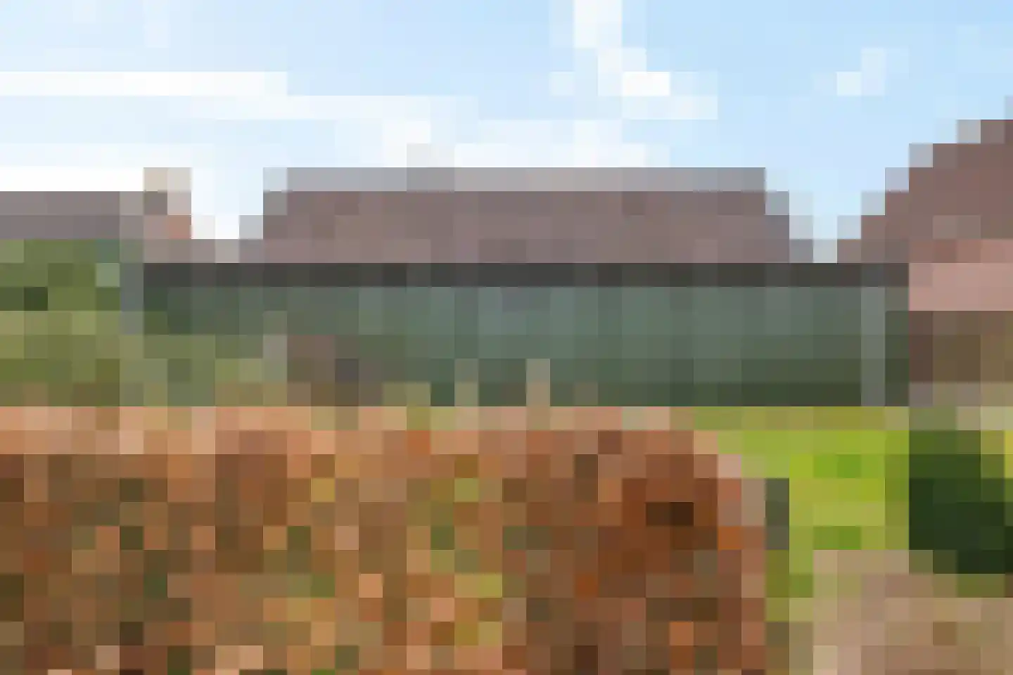 Zuiderdiep 288 2e Exloërmond thumbnail 38