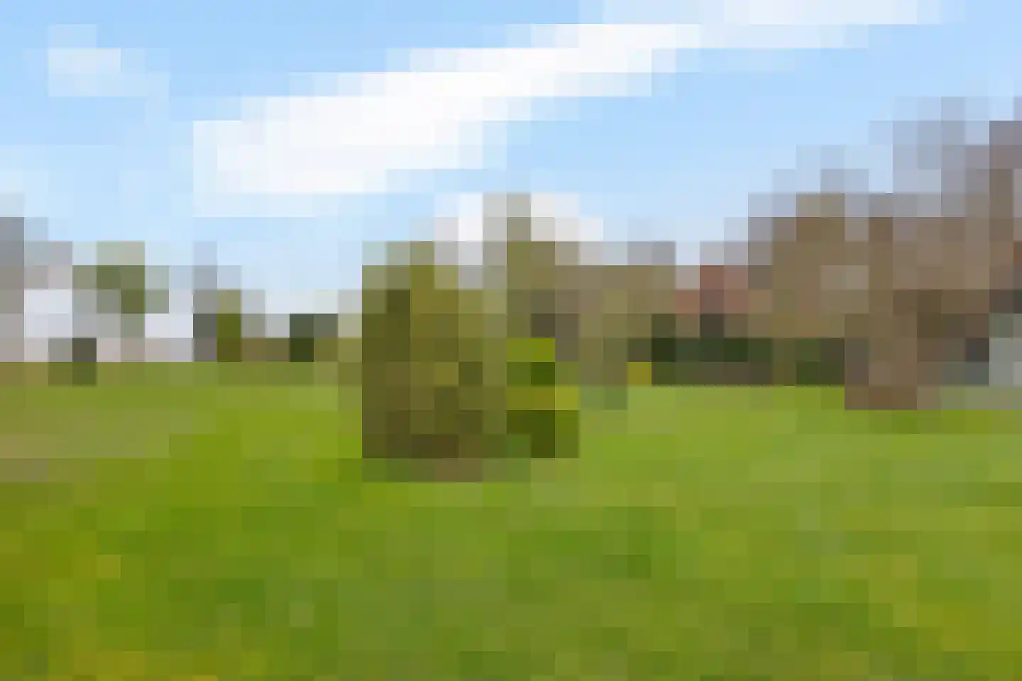 Zuiderdiep 288 2e Exloërmond thumbnail 40