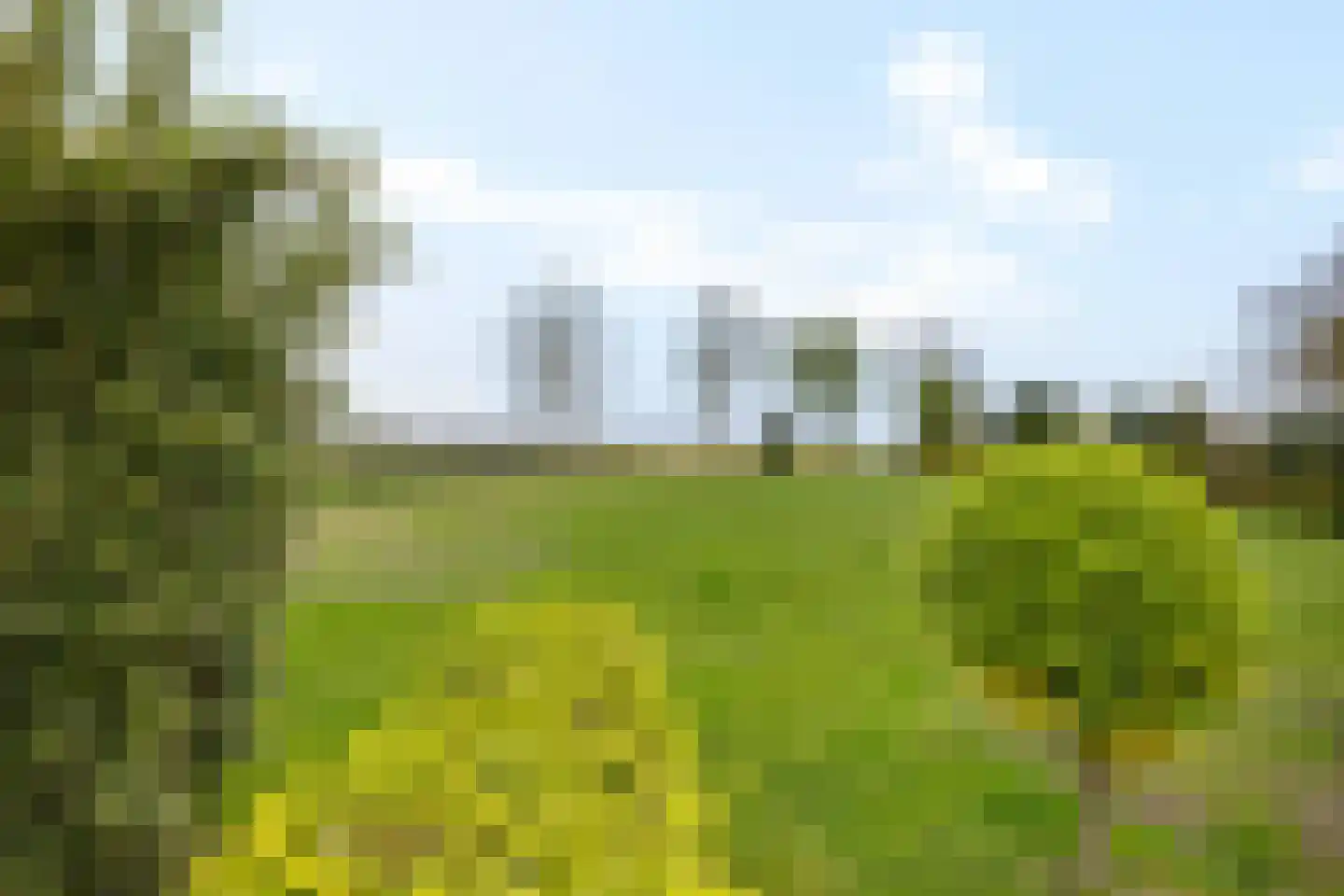 Zuiderdiep 288 2e Exloërmond thumbnail 41